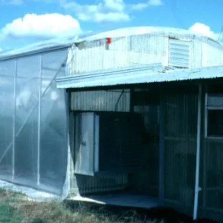 thumbnail for publication: Physical Greenhouse Design Considerations—Florida Greenhouse Vegetable Production Handbook, Vol 2